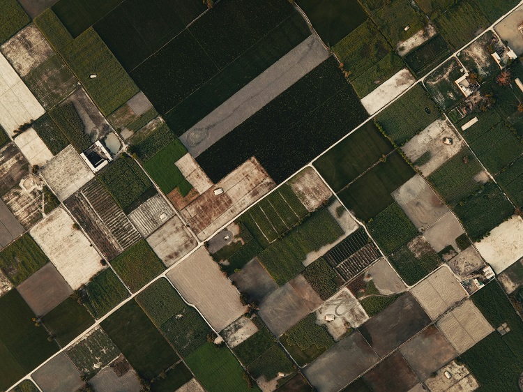 mezőgazdasági terület