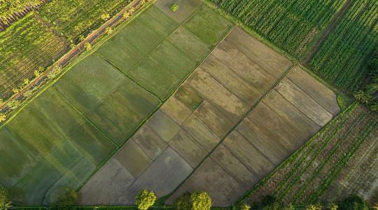 Tiltott kaszálás és korai feltörés – A műhold mindent lát, jönnek a büntetések