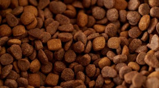 Gabona helyett állateledel: szerkezeti átalakulásban a magyar agrárexport