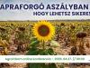 Napraforgó aszályban – hogy lehetsz sikeres? Agroinform online konferencia – így csatlakozhatsz!