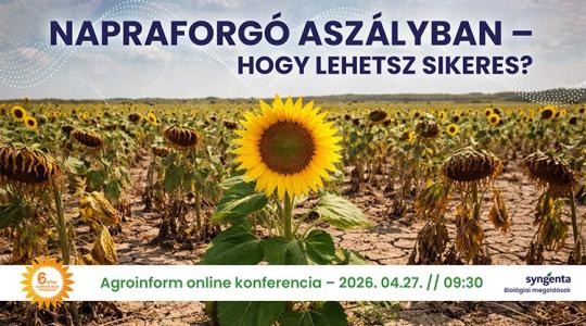 Napraforgó aszályban – hogy lehetsz sikeres? Agroinform online konferencia – így csatlakozhatsz!