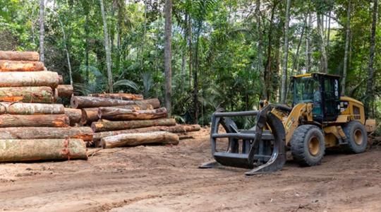 EUDR: Ha nem lesz egyszerűsítés, belefulladunk a bürokráciába