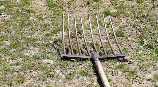 Botrány: vasvillára tűzött óriáshal fotója borzolja a kedélyeket