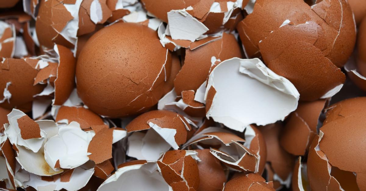 Lakossági felháborodás: fojtogató bűz a tojásfeldolgozó körül Lakossági felháborodás: fojtogató bűz a tojásfeldolgozó körül
