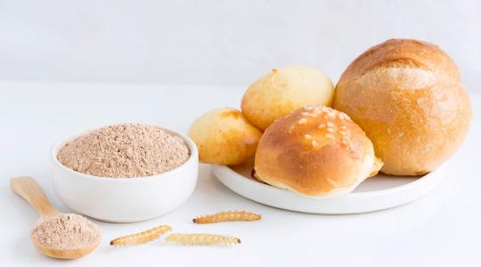 Kötelező elkülönítés jön a rovartartalmú élelmiszereknél