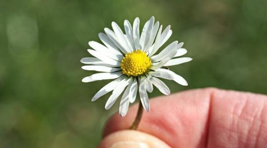 Támad a hidegfront: mutatjuk, mikor kell leállni a permetezéssel