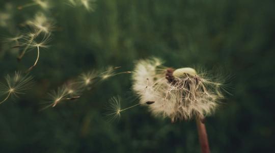 Időjárás: hidegfront érkezik, nagy területen megerősödik a szél + VIDEÓ