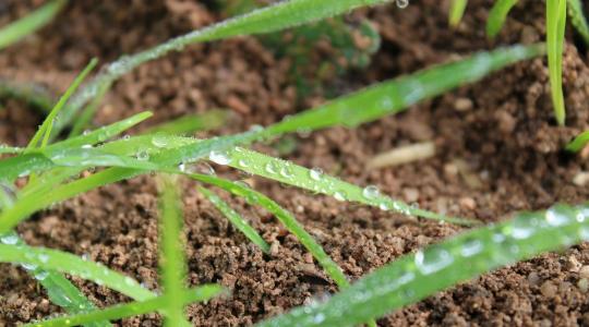 3 napos időjárás-előrejelzés: csapadékra szomjazik a föld