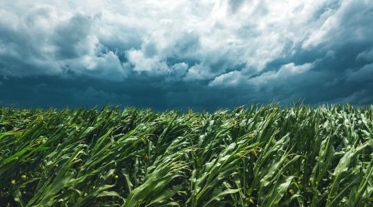 A gazdák rémálma: percek alatt úszhatnak el a millióink