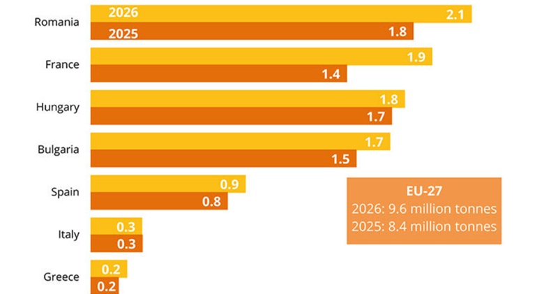 Az EU Bizottság becslése szerint nővekszik a napraforgó területe 2026-ban