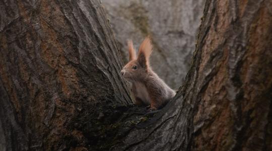 Fordulat az időjárásban: mutatjuk a 3 napos előrejelzést!