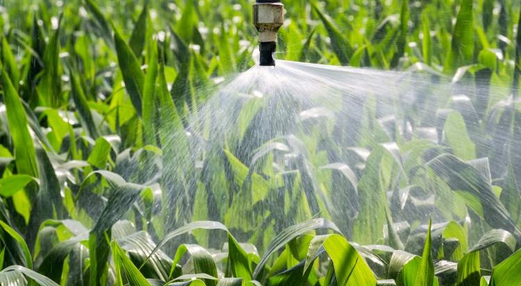 A vízhiány mindenkit érintő probléma