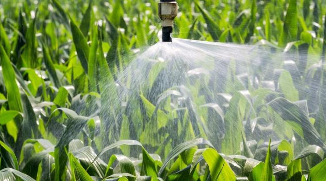 Mi a dolga az Agrárkamarának? Cseh Tibor András így látja