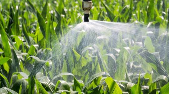 Mi a dolga az Agrárkamarának? Cseh Tibor András így látja