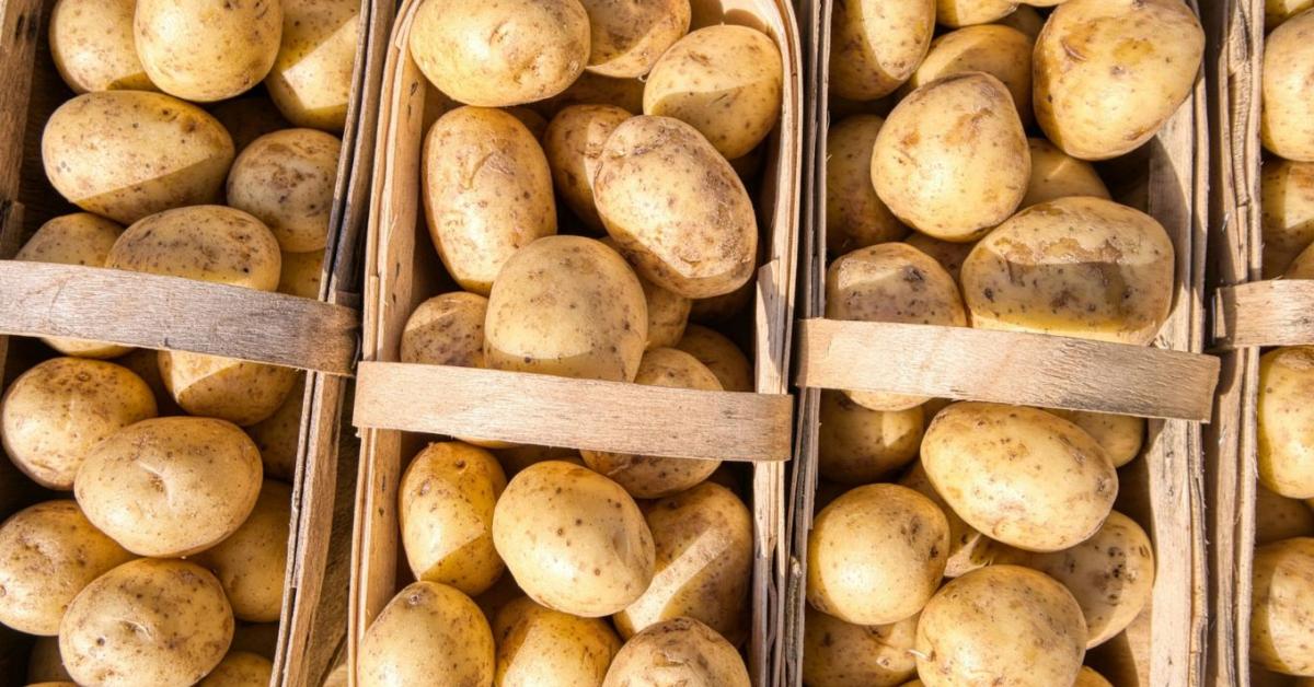 Mázsaszámra megy a szemétbe a krumpli?