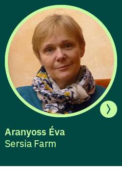 heti körkérdés extra