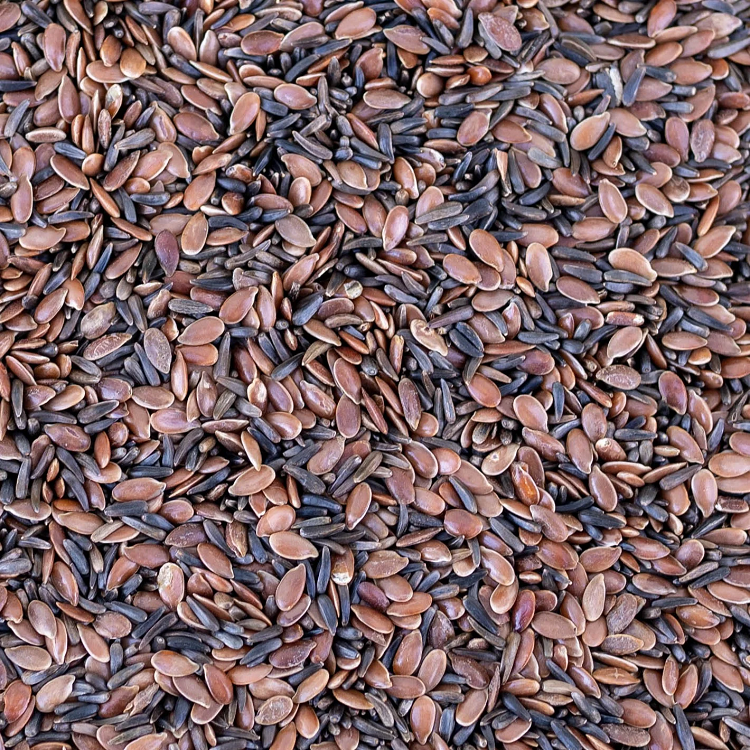 talajreform