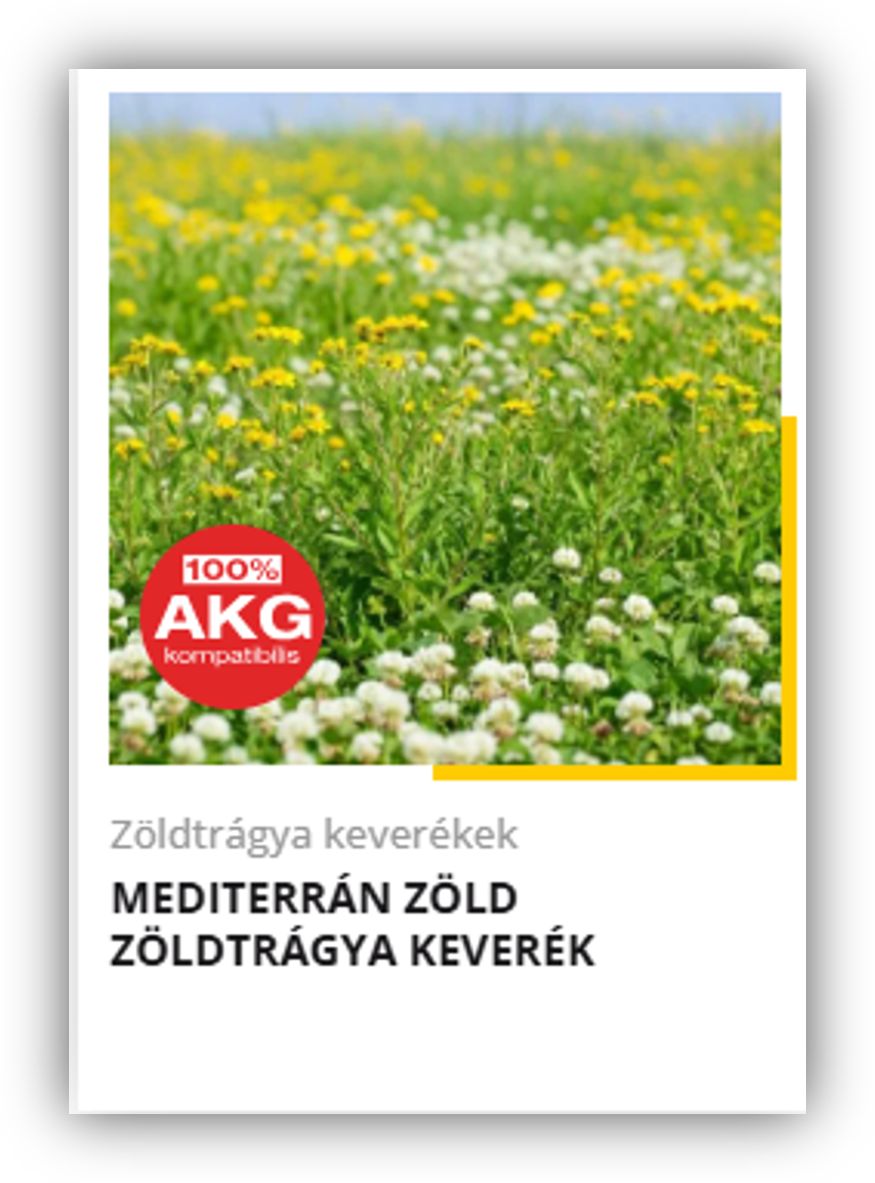 heti körkérdés extra