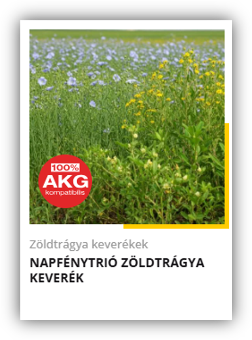 heti körkérdés extra