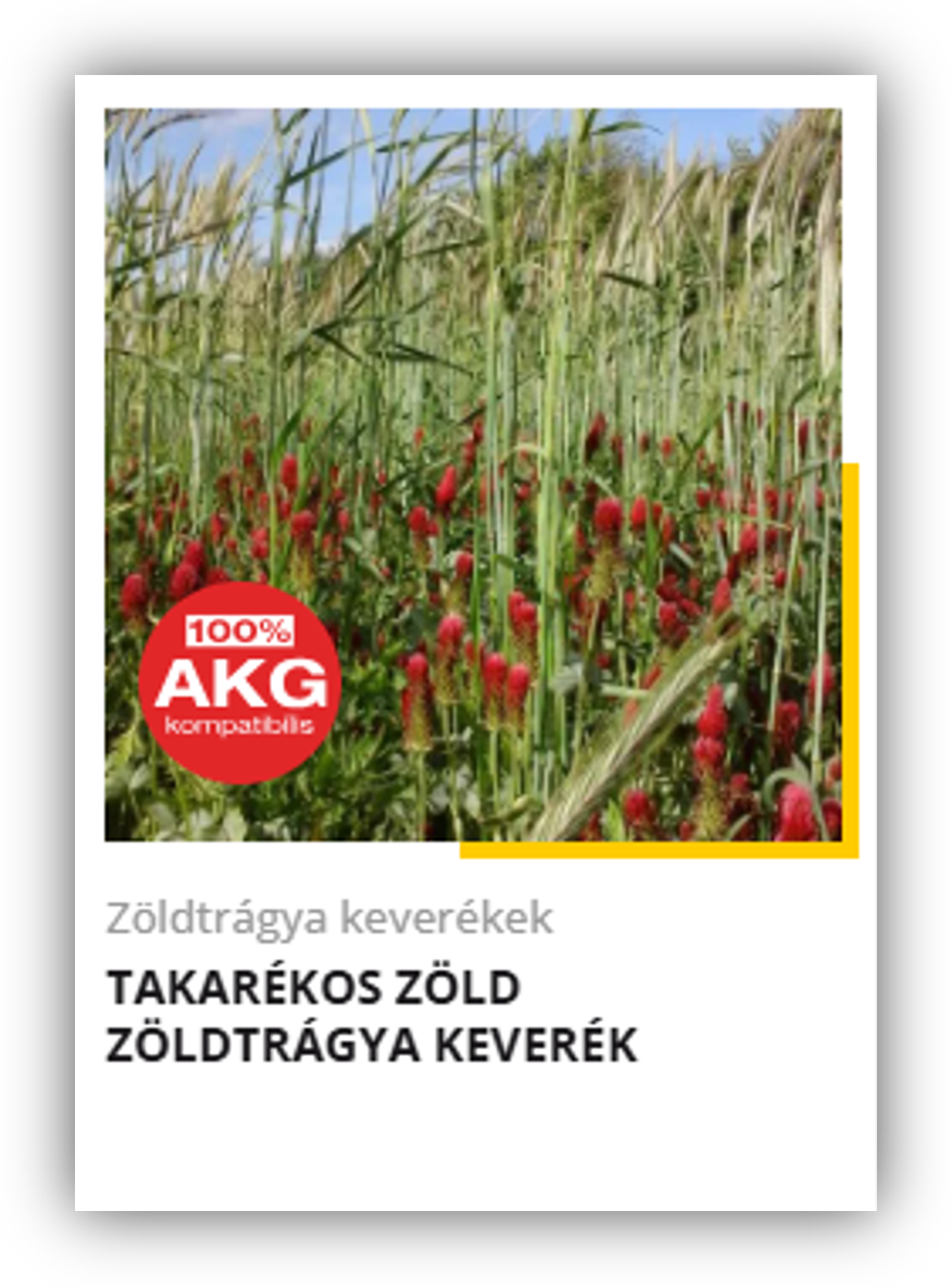 heti körkérdés extra