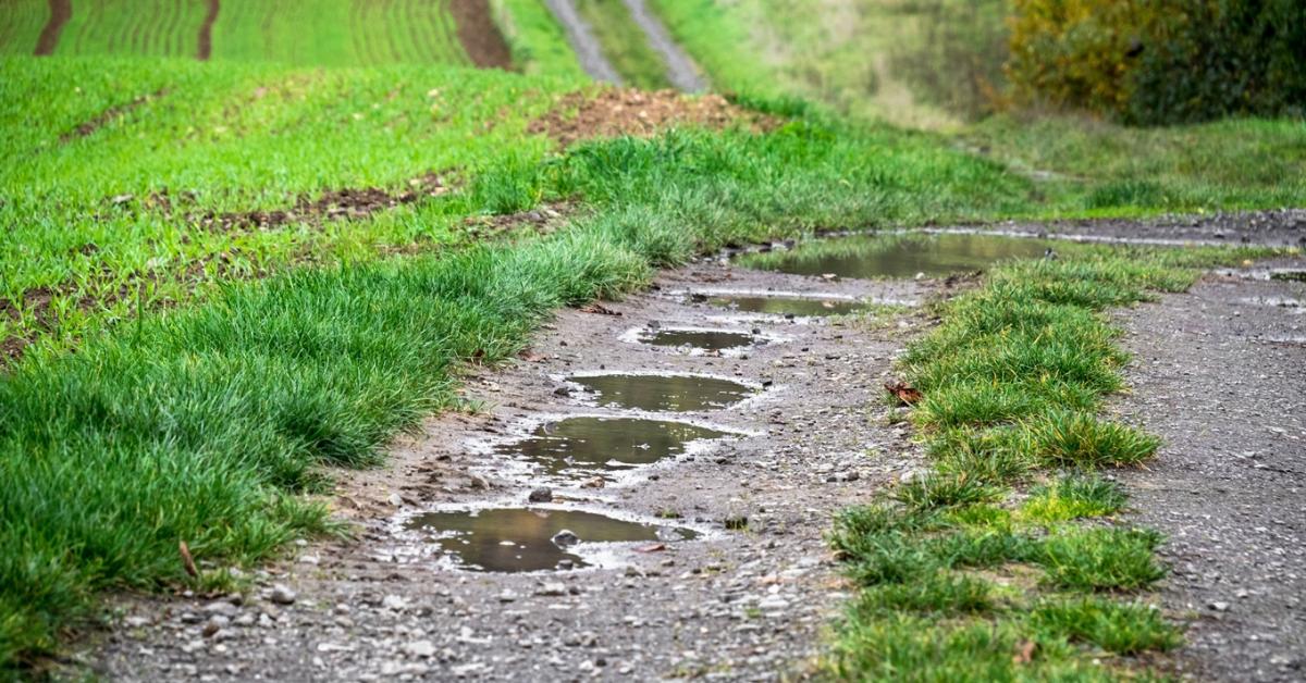 Eleredt az eső: van, ahol már kaptak a földek az égi áldásból