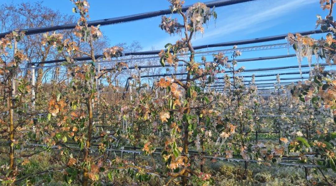 Van, ahol a fagy már mindent vitt