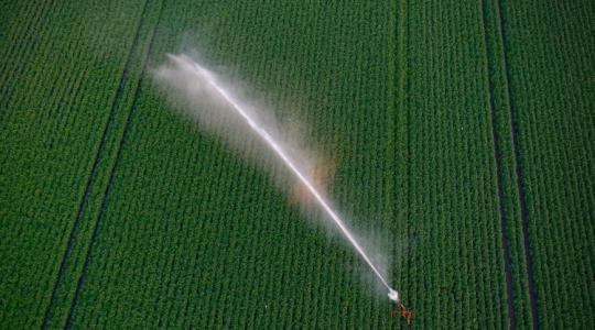 Vízjogi engedély nélkül is öntözhetsz? Így mentheted meg a termésed a vízhiányban!