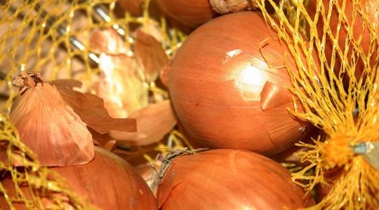 Van még lejjebb? Nyomás alatt a lengyel hagymaárak