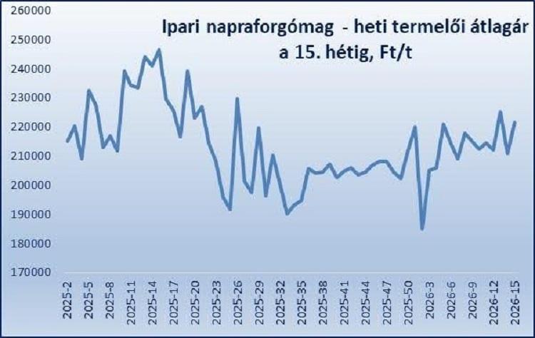 napraforgó