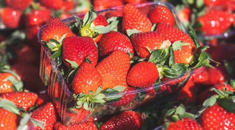 Alaposan ellenőrzik a szamócát és az árusítás körülményeit is