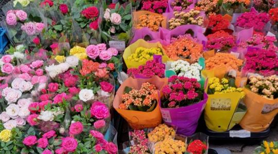 Melyik a legjobb választás anyák napjára? A szakértők szerint egyetlen szabály van