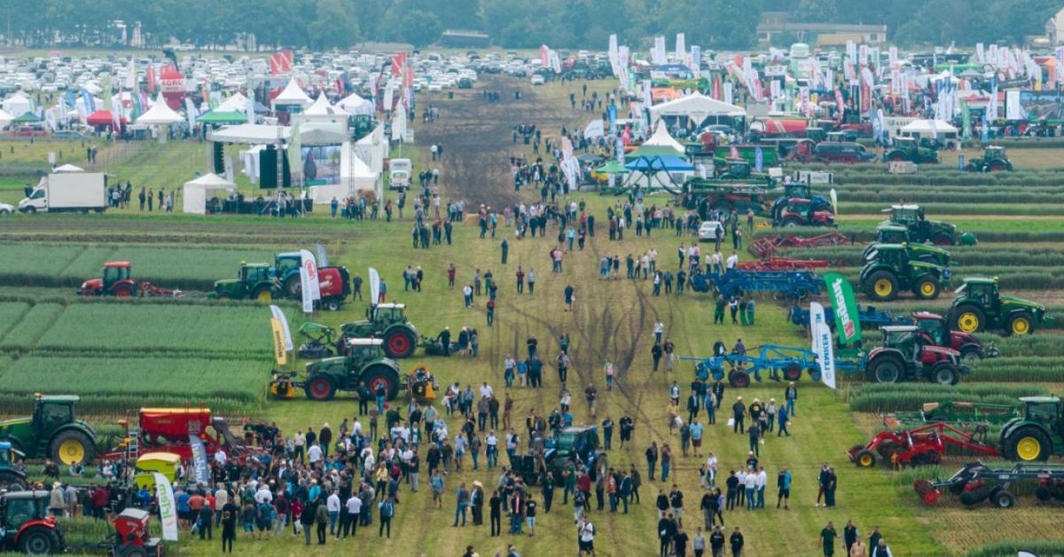 Működés közben a jövő: 4 szektor, ahol megtanulhatja a hatékonyabb gazdálkodást Működés közben a jövő: 4 szektor, ahol megtanulhatja a hatékonyabb gazdálkodást