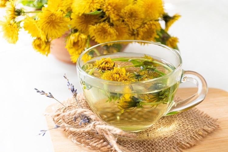 pitypang tea