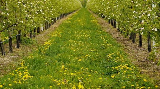 Időjárás: lehet, hogy túl vagyunk a nehezén? + VIDEÓ