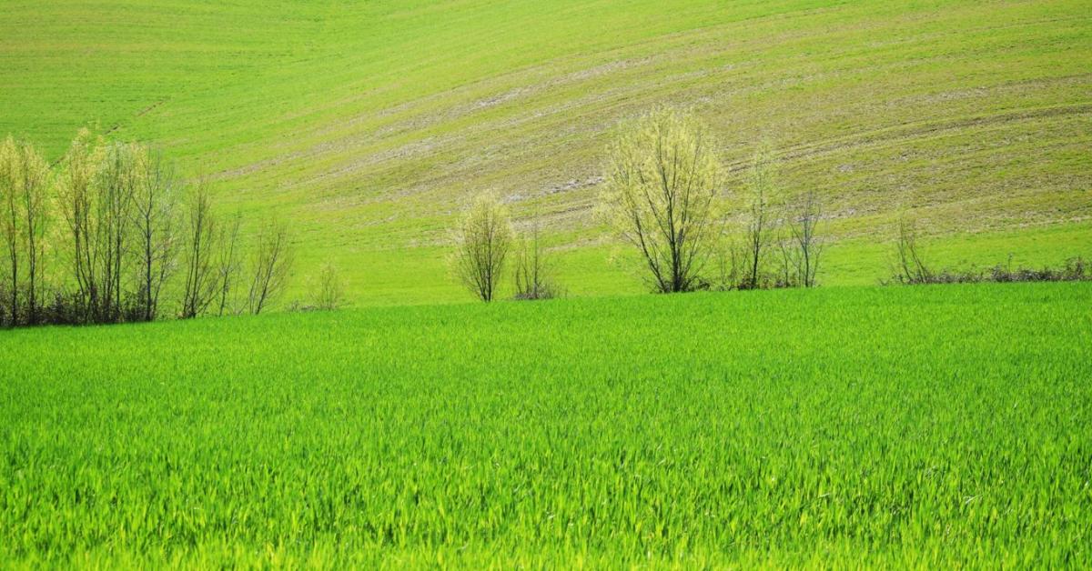 3 napos időjárás-előrejelzés: itt a nyár? 3 napos időjárás-előrejelzés: itt a nyár?