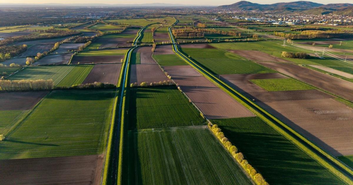 Mi a teendő, ha lejár a haszonbérleti szerződés?
