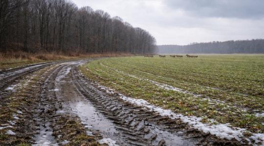 Olyan szél és eső lesz a hétvégén, ami beleszólhat a kinti munkába