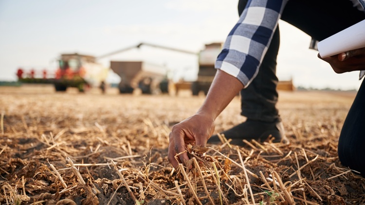 Földbérleti díjaink relatíva magasabbak, mint a földáraink.