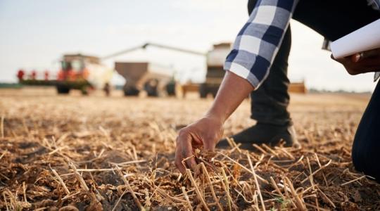 Mennyibe kerül a termőföld az EU-ban, és hol tart Magyarország? Mennyibe kerül a termőföld az EU-ban, és hol tart Magyarország?