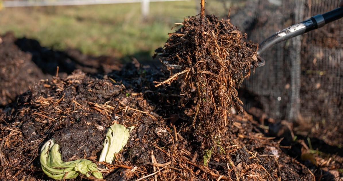 A természet legerősebb fegyvere már a kezedben van A természet legerősebb fegyvere már a kezedben van