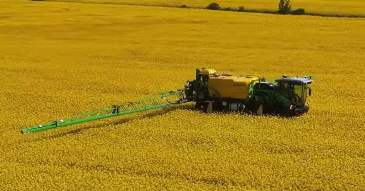 Biolchim technológia a gyakorlatban: sikeres repcetermesztés Mezőfalván + VIDEÓ