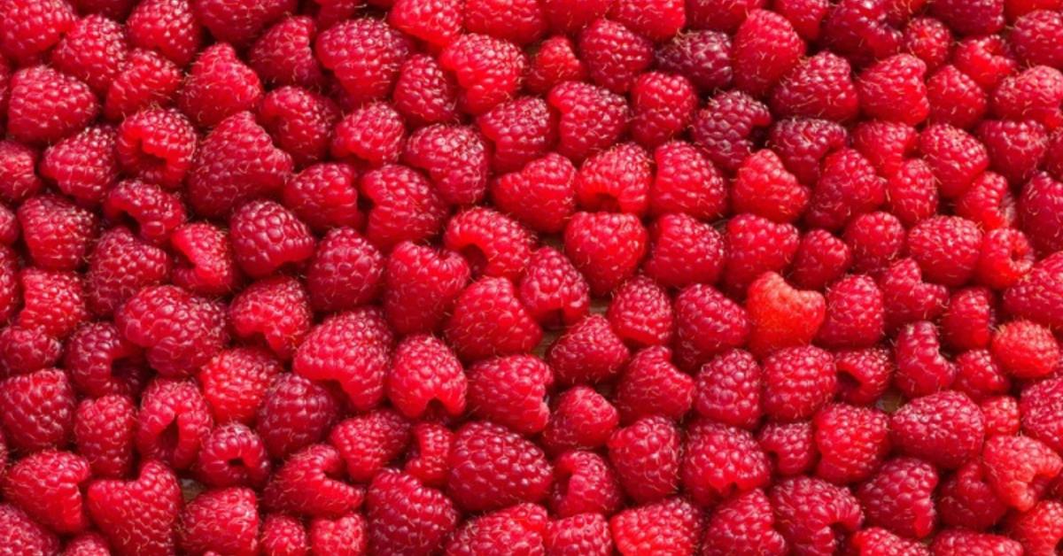 Ezért lesz kevés a málnád, és így hozhatod helyre