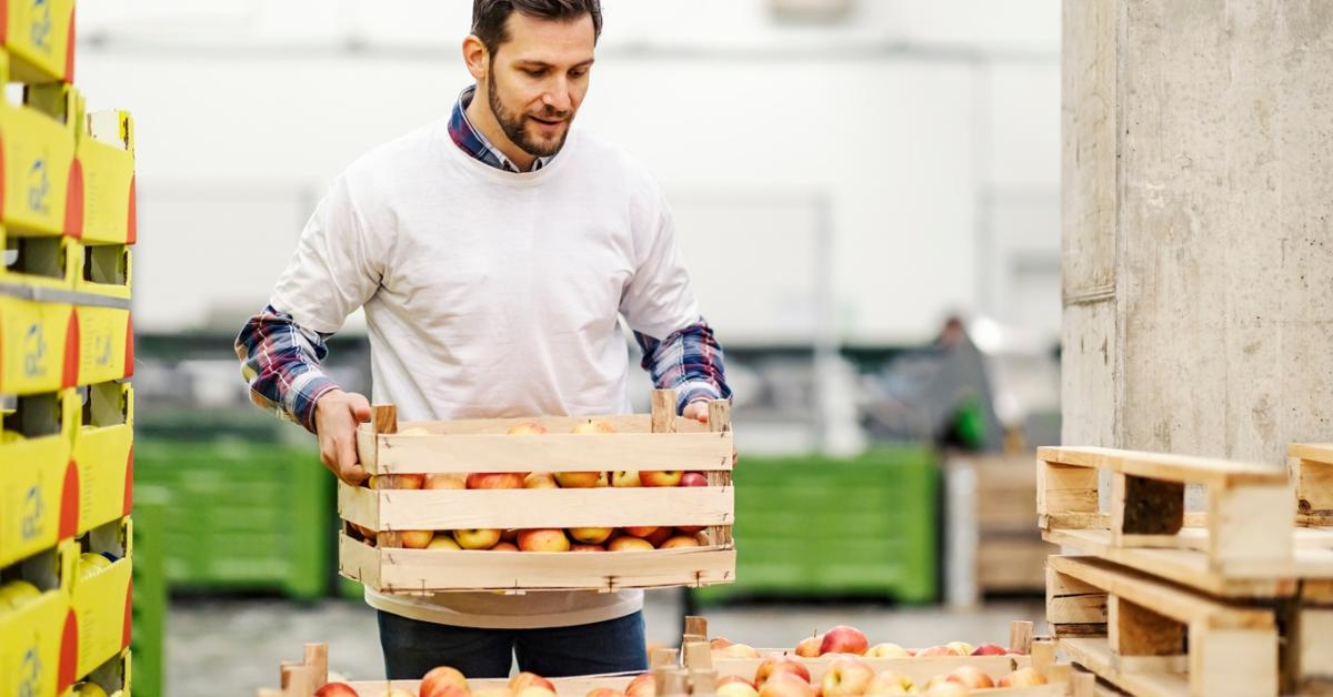 Ez életmentő lehet a magyar gazdáknak: ingyenes exportsegítség érkezett Ez életmentő lehet a magyar gazdáknak: ingyenes exportsegítség érkezett
