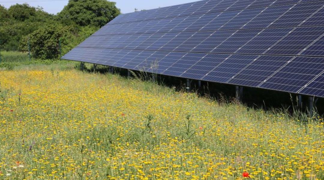 Tudtad? Így a gazdák is nyerhetnek a napelemparkokon