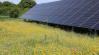 Tudtad? Így a gazdák is nyerhetnek a napelemparkokon