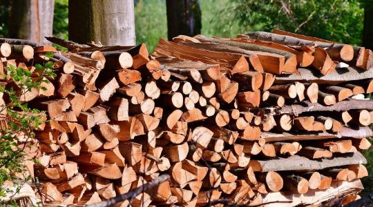Legális forrásból, felelősen: mire figyeljünk tűzifavásárláskor?