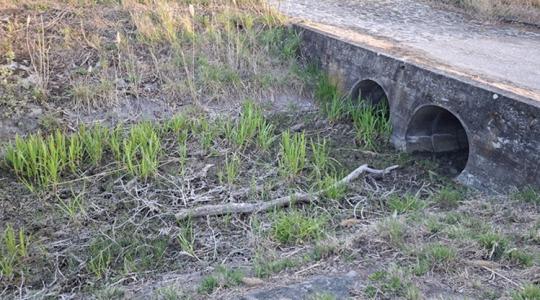 Minden pénzügyi tervünk dugába dőlhet ezen a nyáron