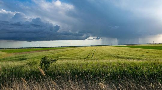 Mit jelent az új készítménylista az AÖP-gyakorlatokban?