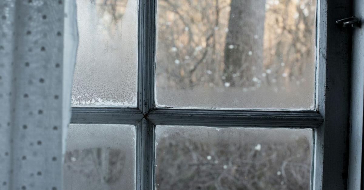 Pára ellen otthon: így előzheted meg a penészedést Pára ellen otthon: így előzheted meg a penészedést