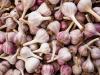 Fokhagyma tárolása: így marad sokáig aromás és ép